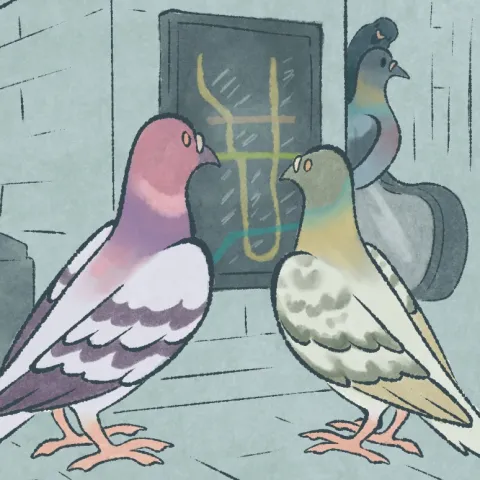 An illustration of human sized pigeons in the Toronto Subway. Pink and green pigeons stand out in the foreground looking at the TTC map.