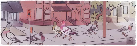 An illustration of human sized in a Toronto sidewalk. A pink overlay unifies the colours.